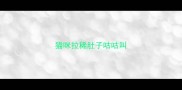 猫咪拉稀肚子咕咕叫