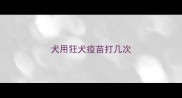 犬用狂犬疫苗打几次