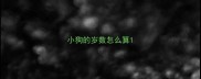 小狗的岁数怎么算