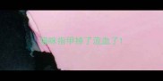 猫咪指甲掉了流血了