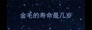 金毛的寿命是几岁