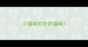小猫咪打针的猫咪