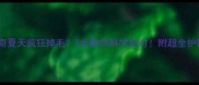 哈士奇夏天疯狂掉毛3步教你科学应对附超全护理指南