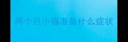 两个月小猫准备什么症状