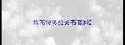 拉布拉多公犬节育利