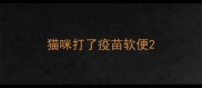 猫咪打了疫苗软便