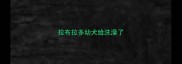 拉布拉多幼犬给洗澡了