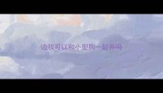 边牧可以和小型狗一起养吗