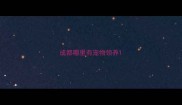 成都哪里有宠物领养
