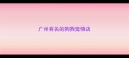 广州有名的狗狗宠物店