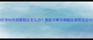 狗狗怀孕50天频繁呕吐怎么办兽医详解孕期呕吐原因及应对措施