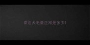 泰迪犬毛量正常是多少