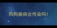 狗狗癫痫会传染吗