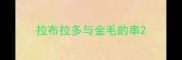 拉布拉多与金毛的串
