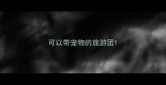 可以带宠物的旅游团