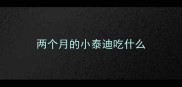 两个月的小泰迪吃什么