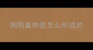 狗狗囊肿是怎么形成的