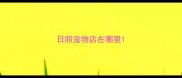 日照宠物店在哪里