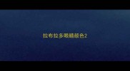 拉布拉多眼睛颜色