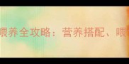 两个月大猫咪科学喂养全攻略营养搭配喂食频率与常见误区