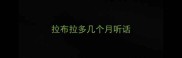 拉布拉多几个月听话