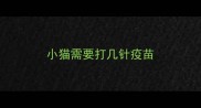小猫需要打几针疫苗