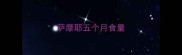 萨摩耶五个月食量