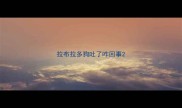拉布拉多狗吐了咋回事