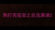 狗打完疫苗之后流鼻涕