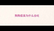 狗狗疫苗为什么会吐