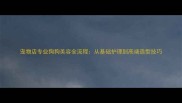 宠物店专业狗狗美容全流程从基础护理到高端造型技巧