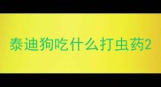 泰迪狗吃什么打虫药