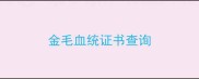 金毛血统证书查询