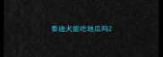 泰迪犬能吃地瓜吗