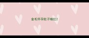 金毛怀孕肚子暗红