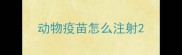 动物疫苗怎么注射