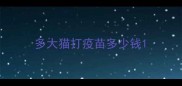 多大猫打疫苗多少钱