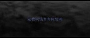 宠物狗疫苗有假的吗