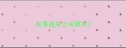 灰泰迪身上长黑毛