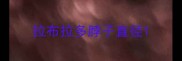 拉布拉多脖子直径
