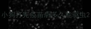小狗打完疫苗后多久能驱虫