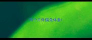 两个月侏儒兔体重