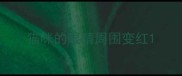 猫咪的眼睛周围变红