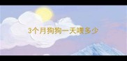 3个月狗狗一天喂多少