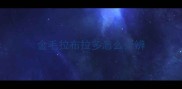 金毛拉布拉多怎么分辨