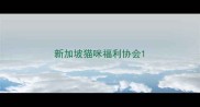 新加坡猫咪福利协会