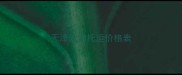 天津宠物托运价格表