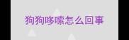 狗狗哆嗦怎么回事