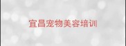宜昌宠物美容培训