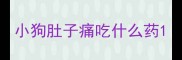 小狗肚子痛吃什么药